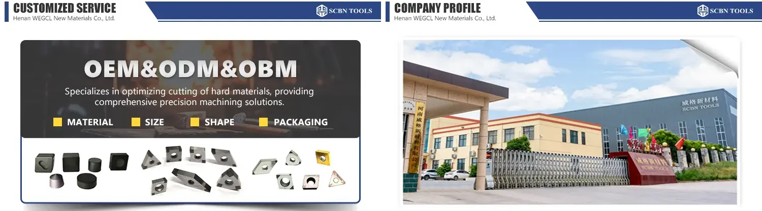 customized service & company profile.webp